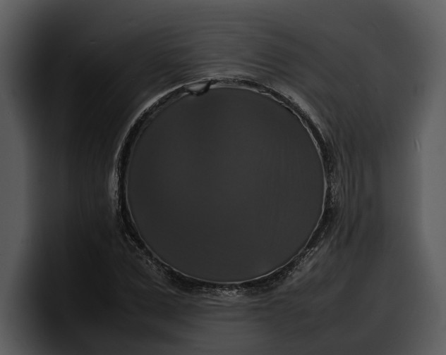 X0000100310975200806190939