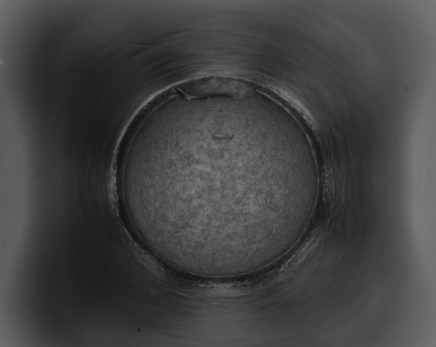 X0000100310976200806190939