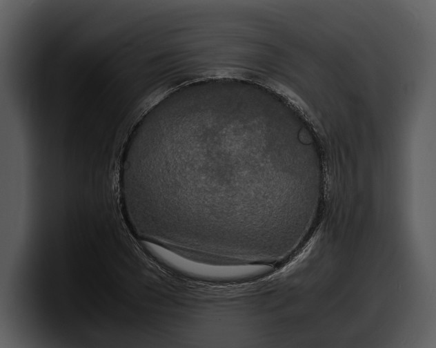 X0000100310977200806190939