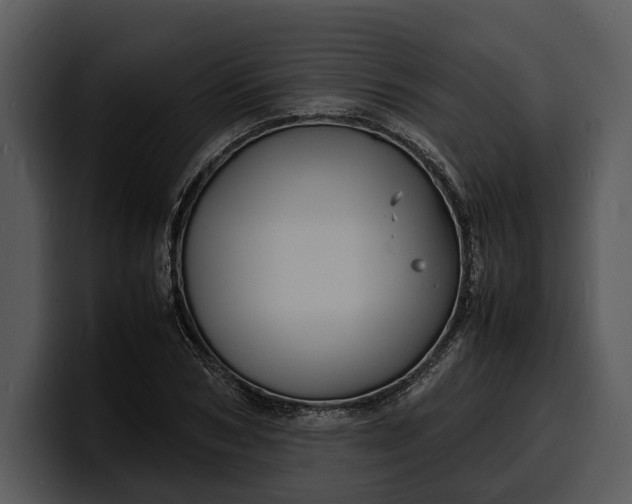 X0000100310978200806190939