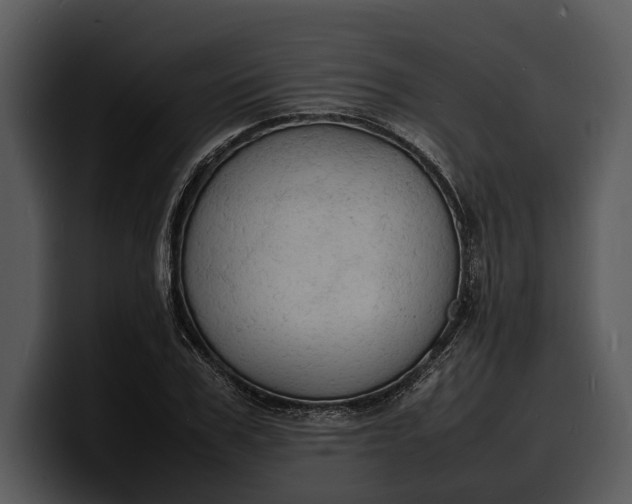 X0000100310979200806190939