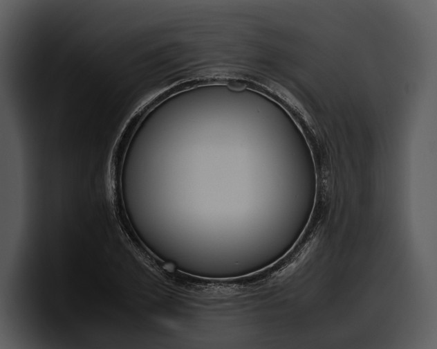 X0000100310981200806190939