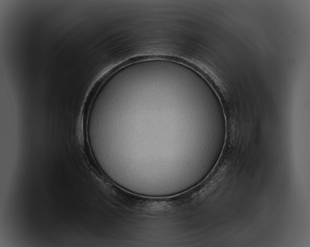 X0000100310982200806190939
