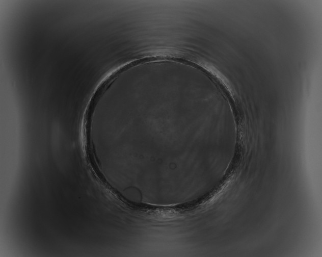 X0000100310983200806190939