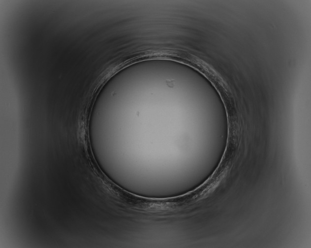 X0000100310985200806190939