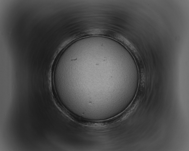 X0000100310986200806190939