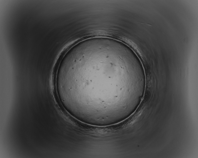 X0000100310987200806190939