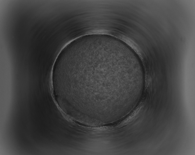 X0000100310988200806190939
