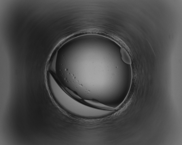 X0000100310989200806190939