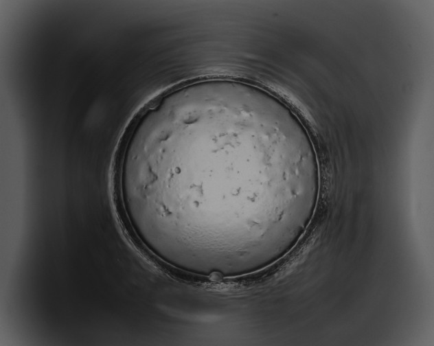 X0000100310991200806190939