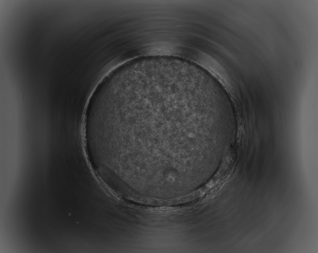 X0000100310992200806190939