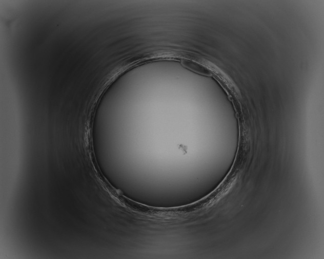 X0000100310993200806190939