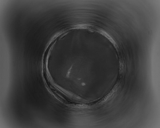 X0000100310994200806190939