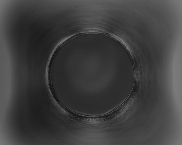 X0000100310995200806190939