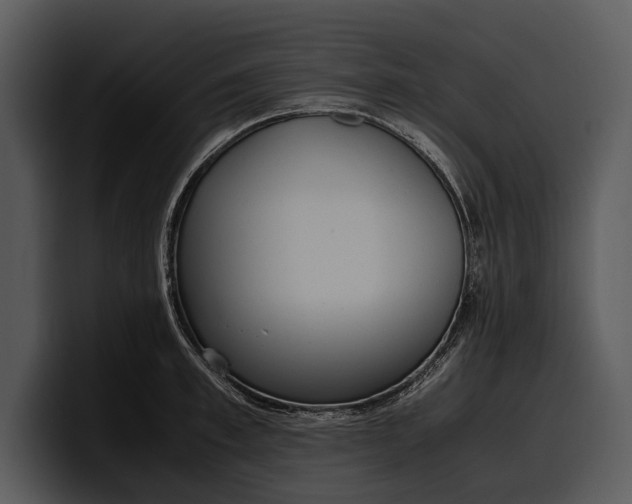 X0000100310997200806190938