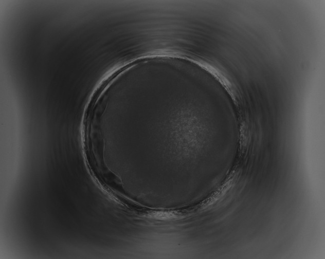 X0000100310998200806190938