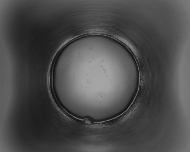 X0000100310999200806190938