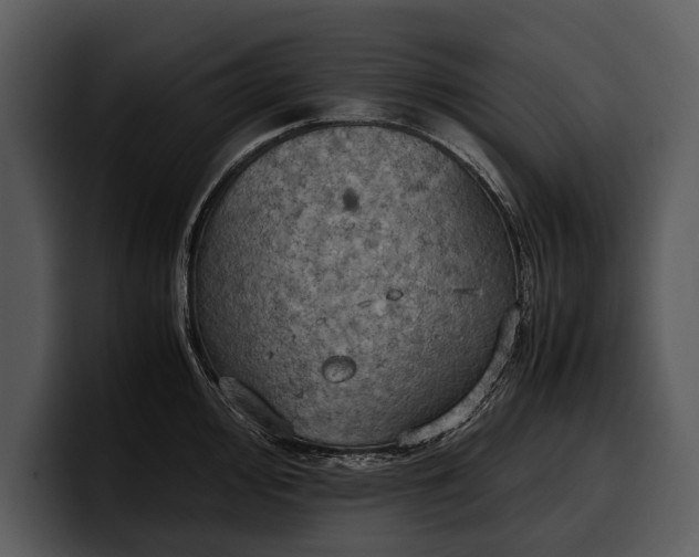 X0000100311000200806190938