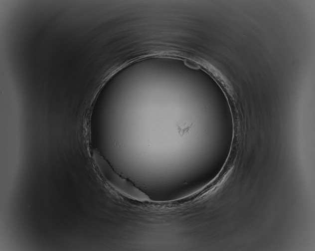 X0000100311001200806190938