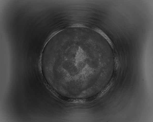 X0000100311002200806190938