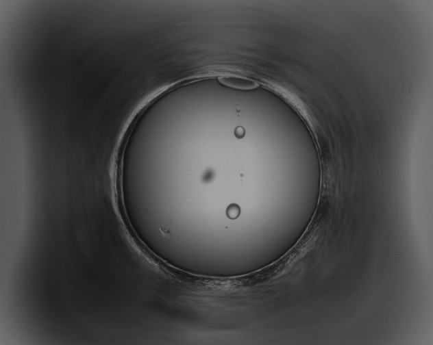 X0000100311003200806190938