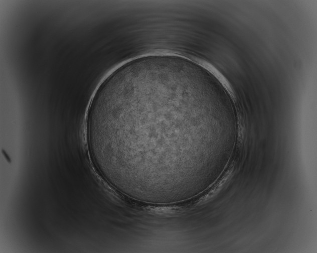 X0000100311004200806190938