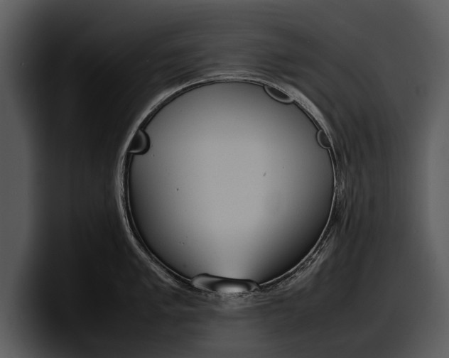 X0000100311005200806190938