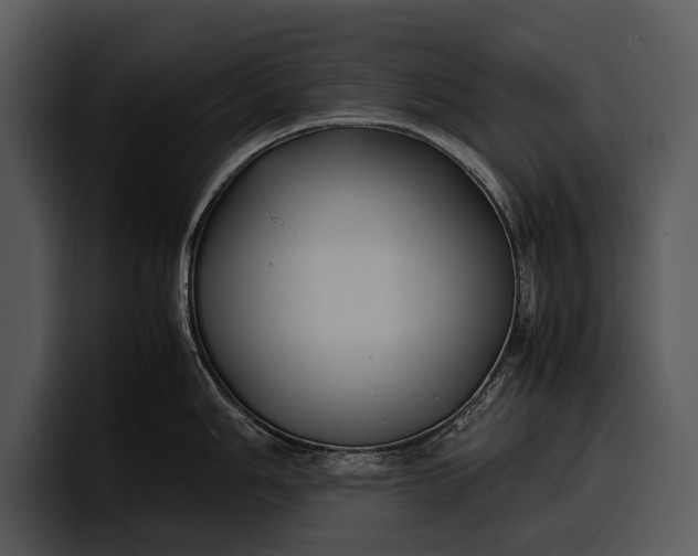 X0000100311006200806190938