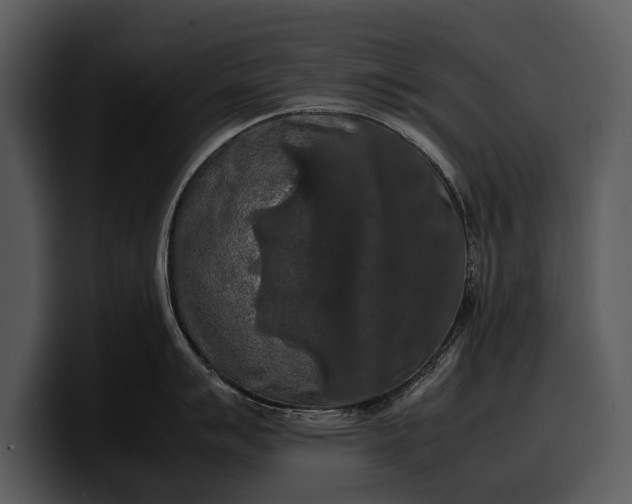 X0000100311007200806190938