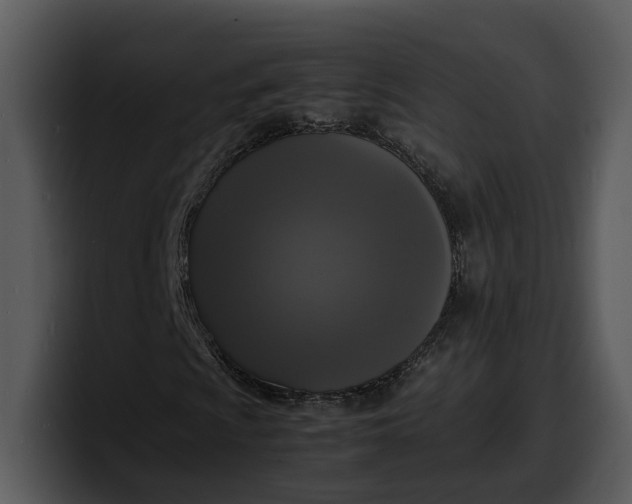 X0000100311009200806190938