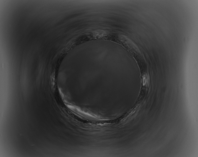 X0000100311011200806190938