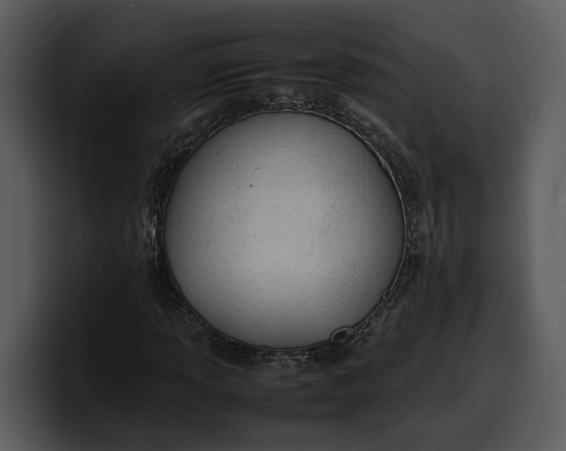 X0000100311013200806190938
