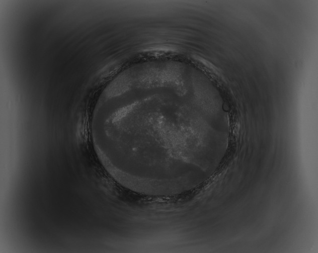 X0000100311014200806190938