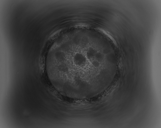 X0000100311015200806190938