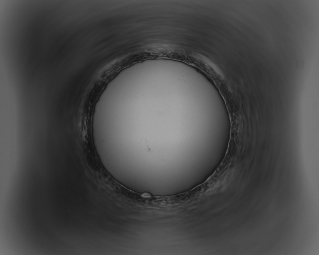 X0000100311016200806190938