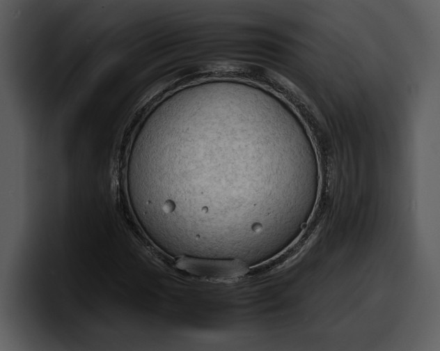 X0000100311017200806190938