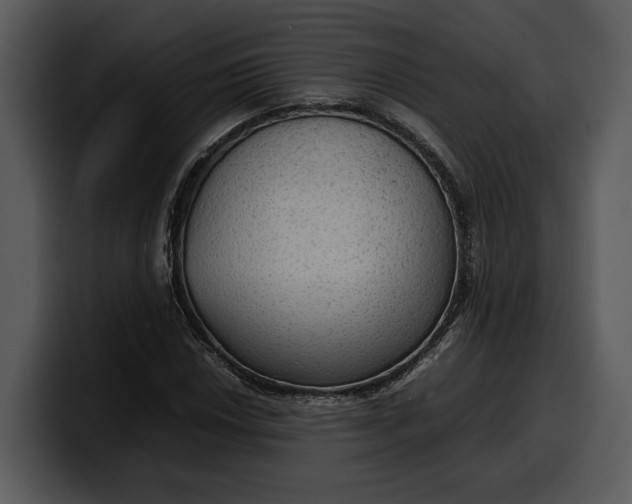 X0000100311018200806190938