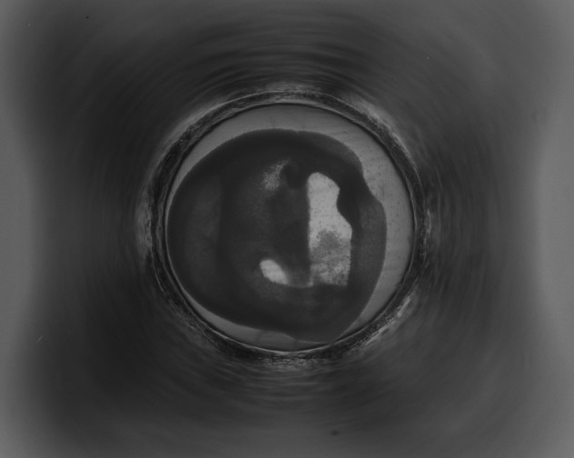 X0000100311019200806190938