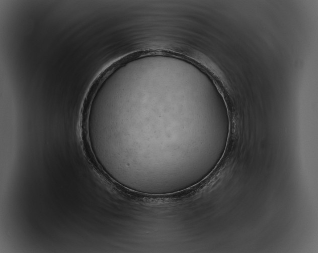X0000100311020200806190938
