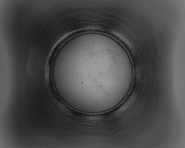 X0000100311021200806190938
