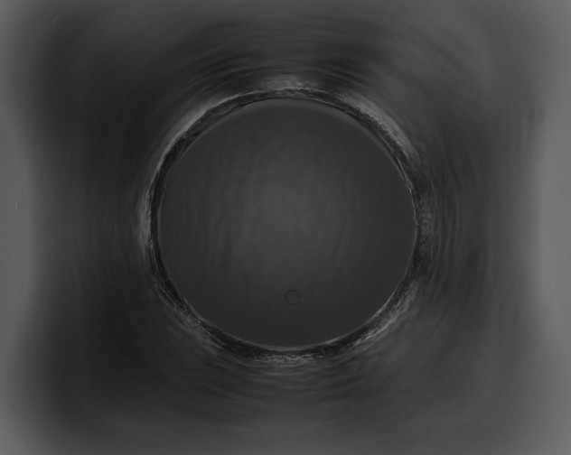 X0000100311023200806190938