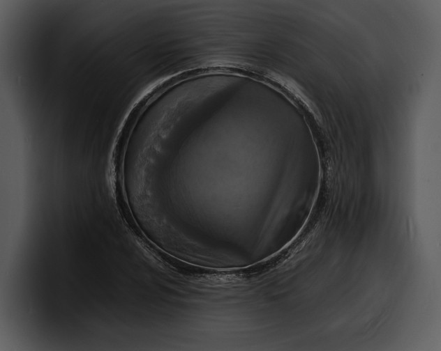 X0000100311024200806190938