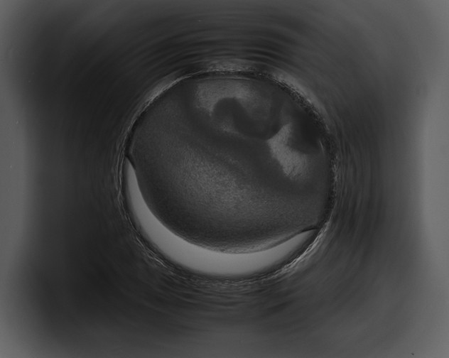 X0000100311025200806190938