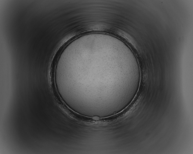 X0000100311026200806190938