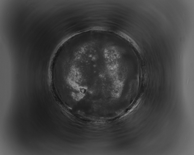 X0000100311027200806190938