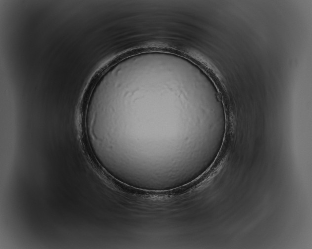 X0000100311029200806190938