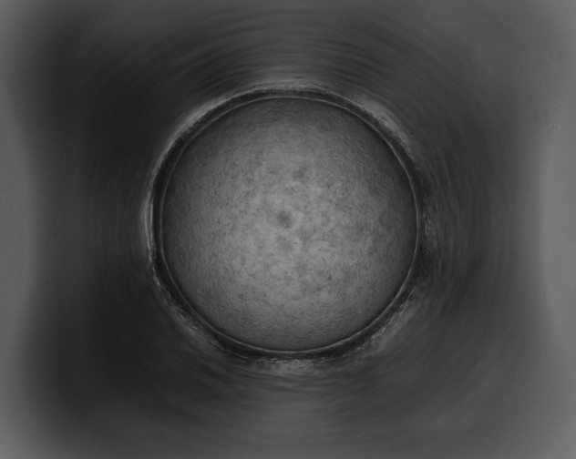 X0000100311030200806190938