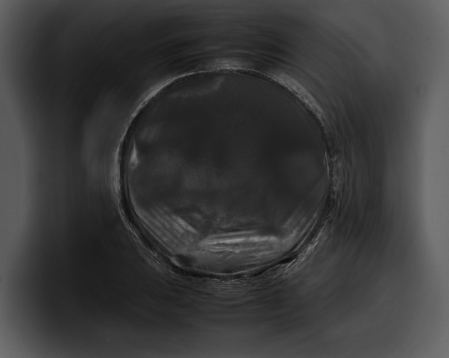 X0000100311031200806190938