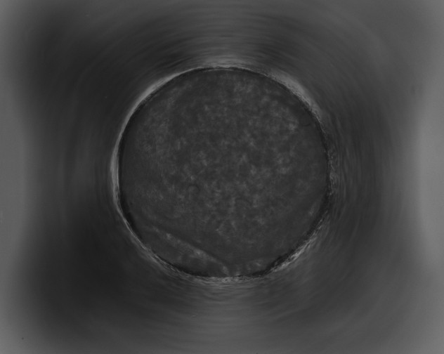 X0000100311032200806190938