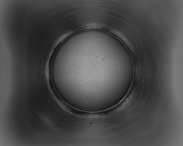 X0000100311034200806190938